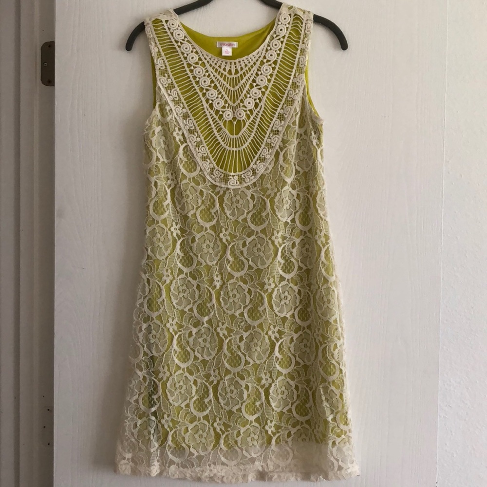 ⭐️Lace Overlay Dress